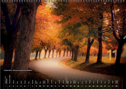 � Danka G�lov� � H�j Nicov� nad Liptovsk�m Mikul�om (november)