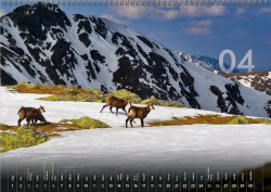 � Katar�na Ko�tialov� � Kamz��at� sleduj� topiaci sa sneh v Z�padn�ch Tatr�ch (apr�l)